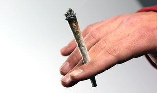 Marihuana jako předstupeň k tvrdým drogám?