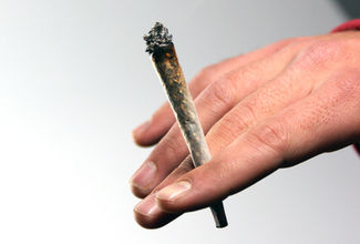 Marihuana jako předstupeň k tvrdým drogám?